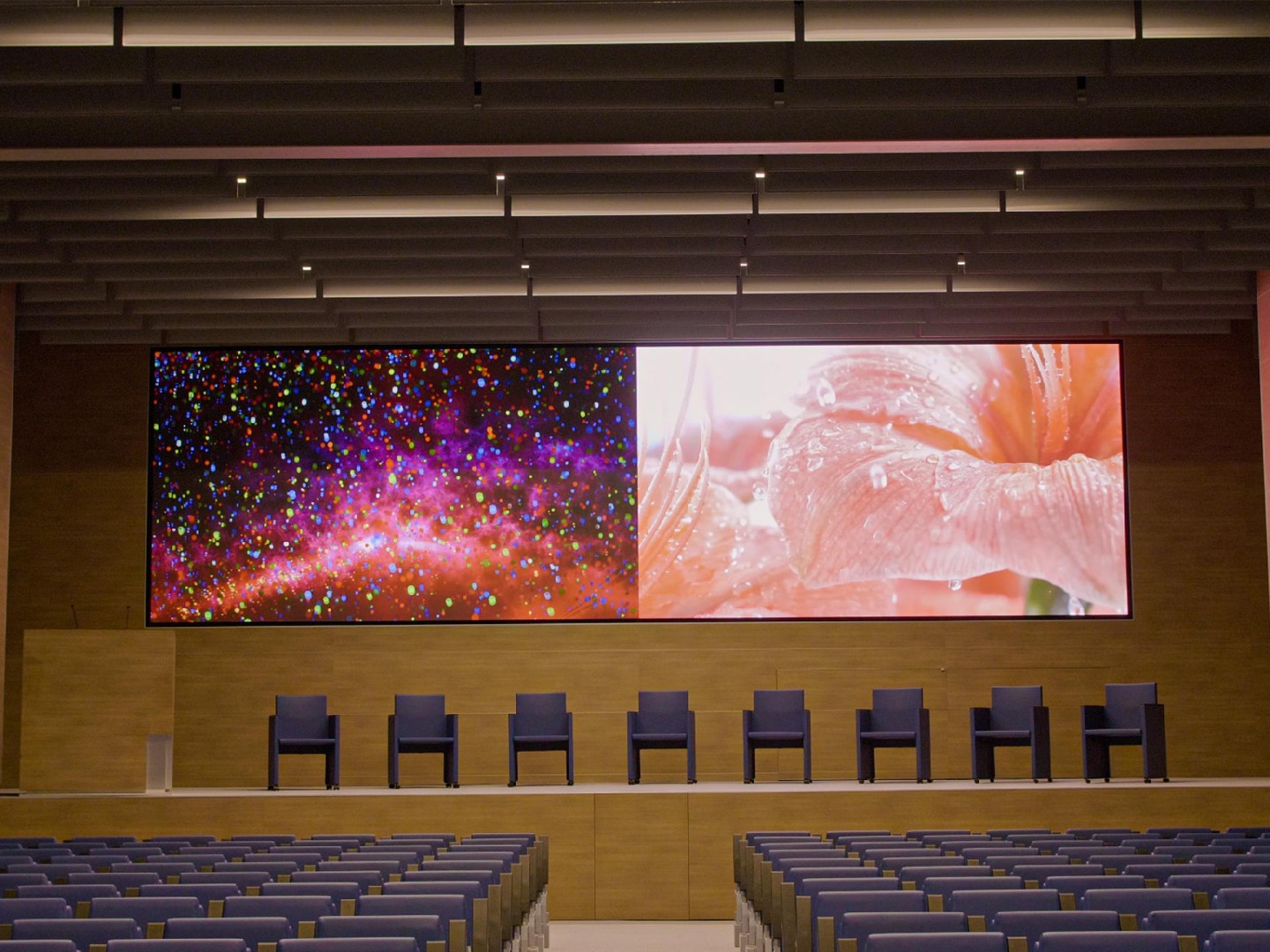 Politecnico di Milano